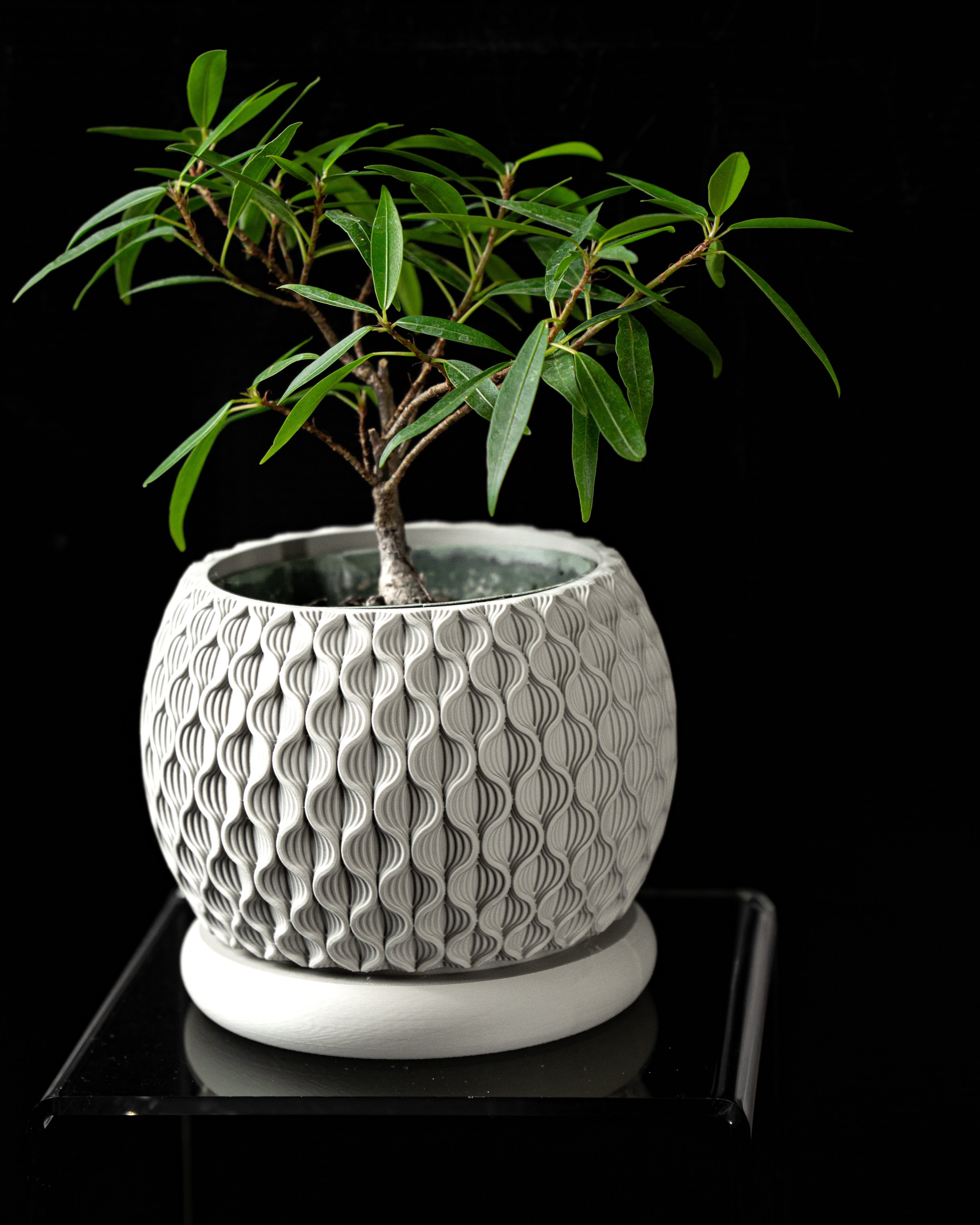Bloom Planter Vase – Blühende Moderne Dekoration