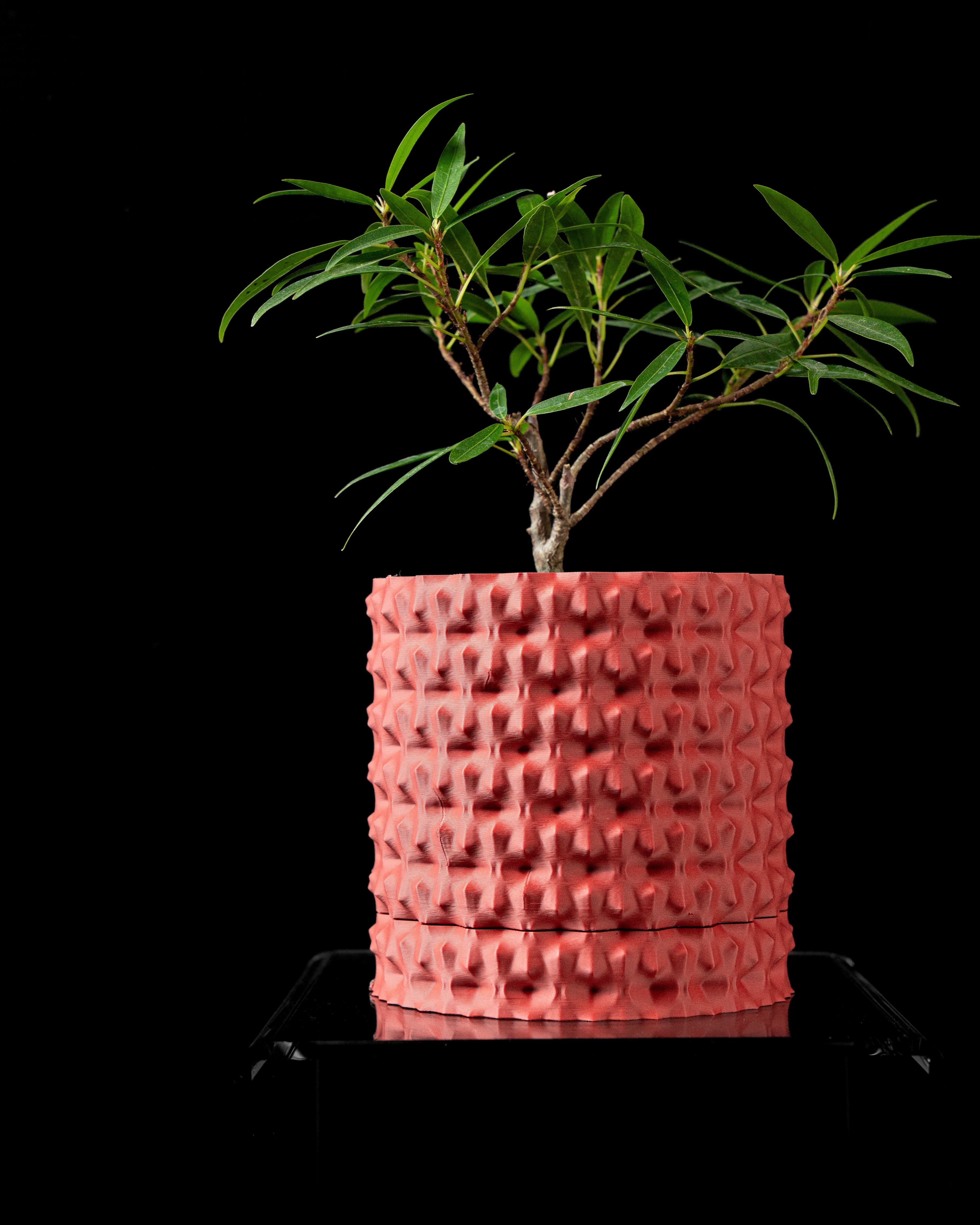 Rugged Planter Vase – Robust-Moderne Dekoration