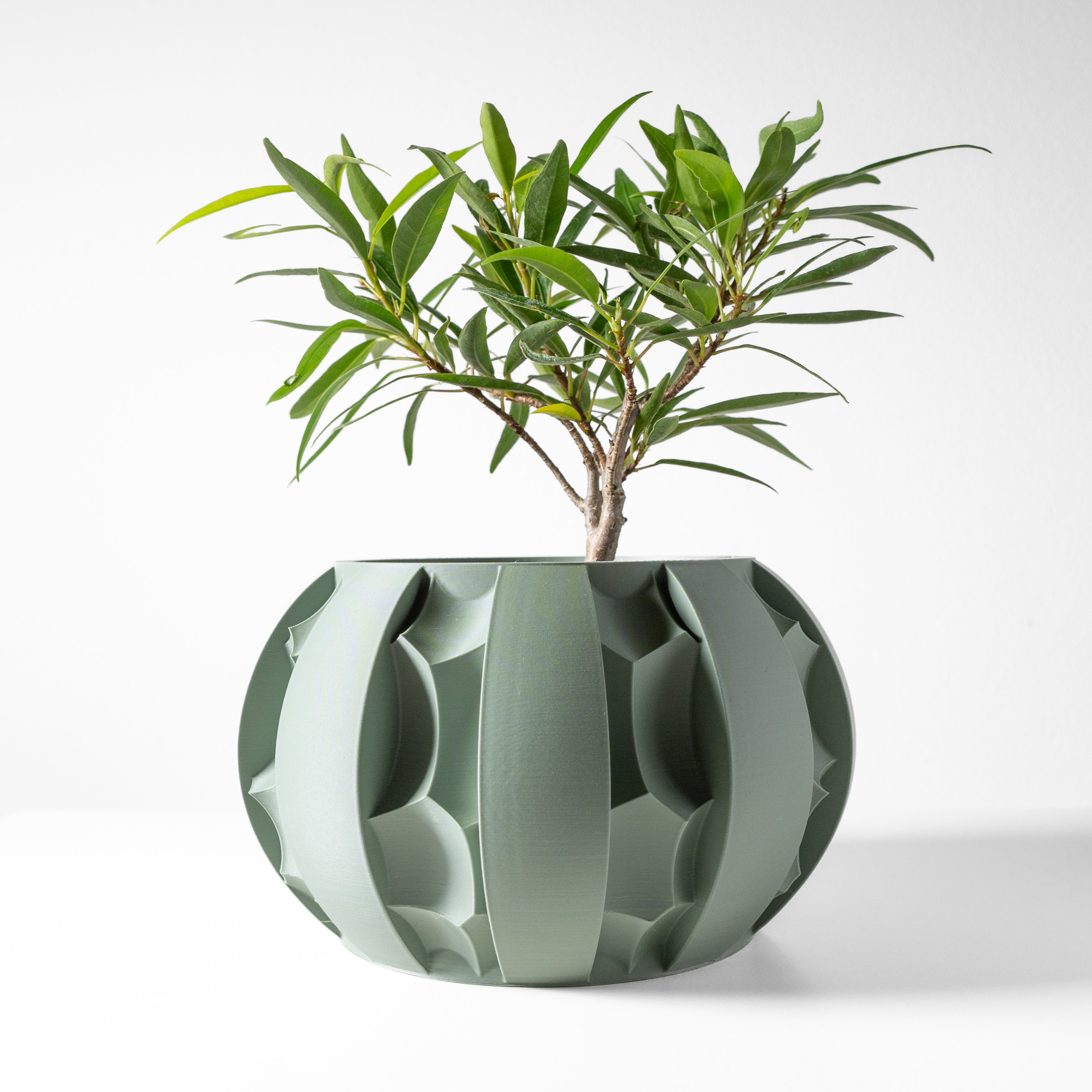 Erna Planter Vase mit Ablauf – Sanfte Pflanzdekoration