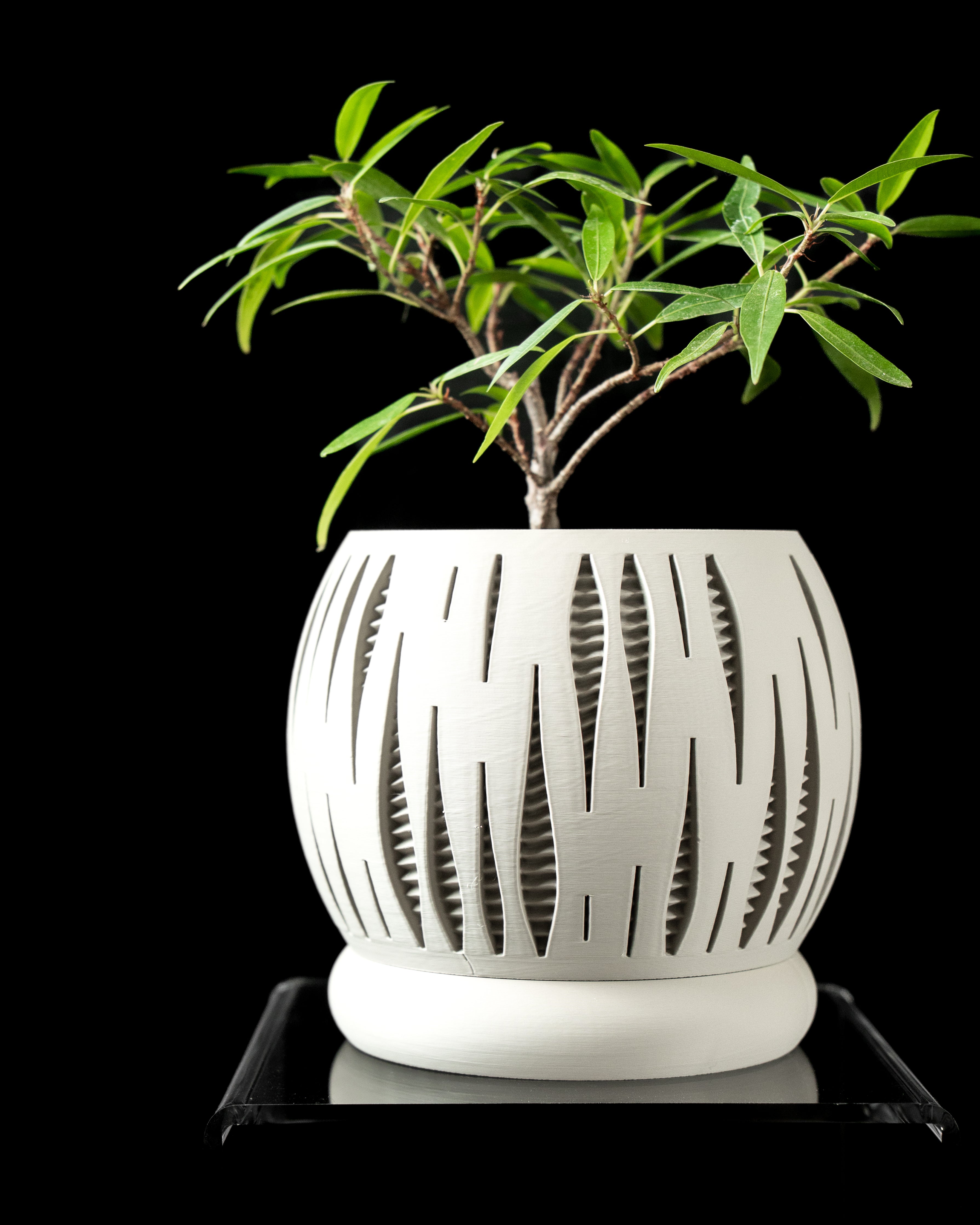 Split Planter Vase – Geteilte Moderne Dekoration