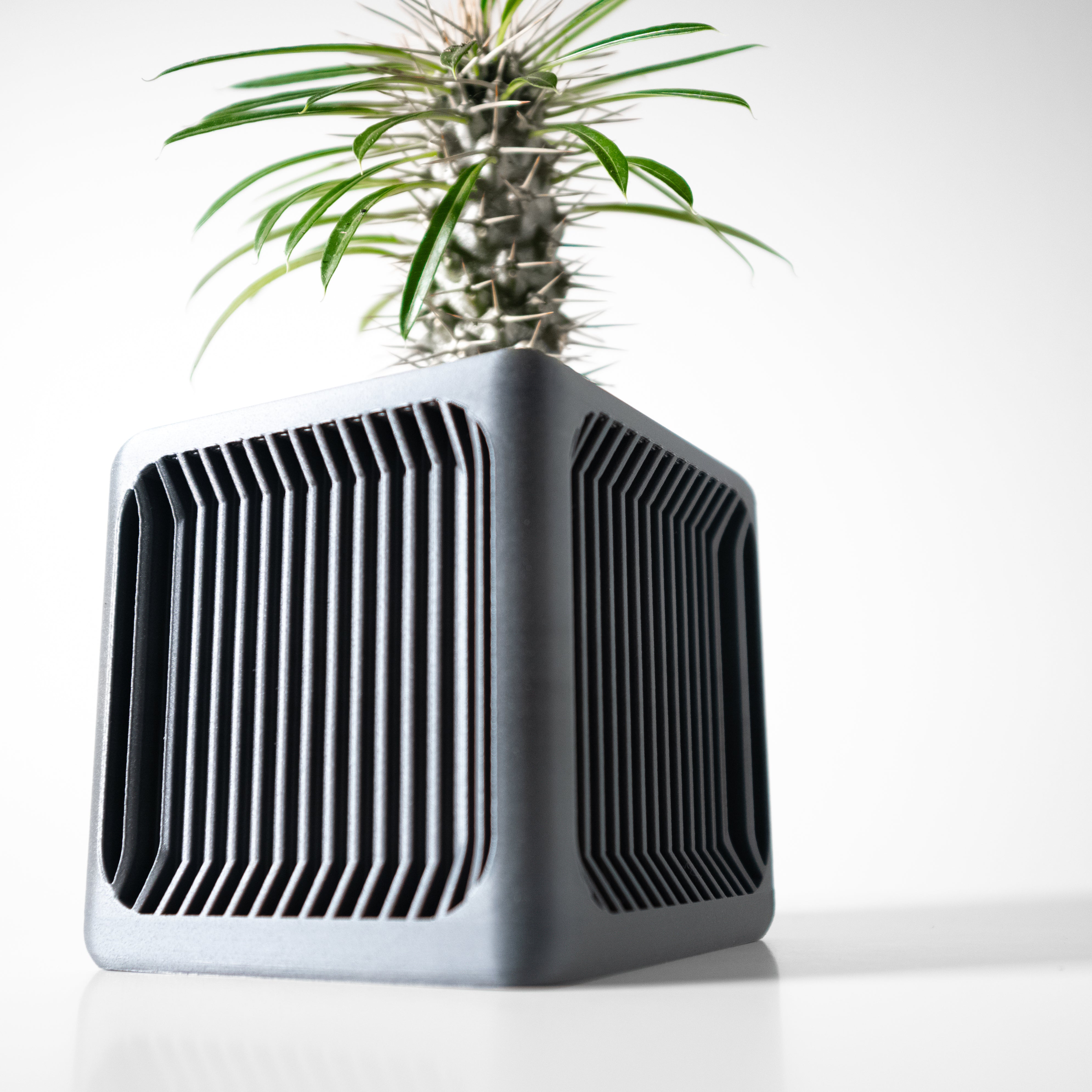 Rovo Square Planter – Kakteus-Moderne Dekoration