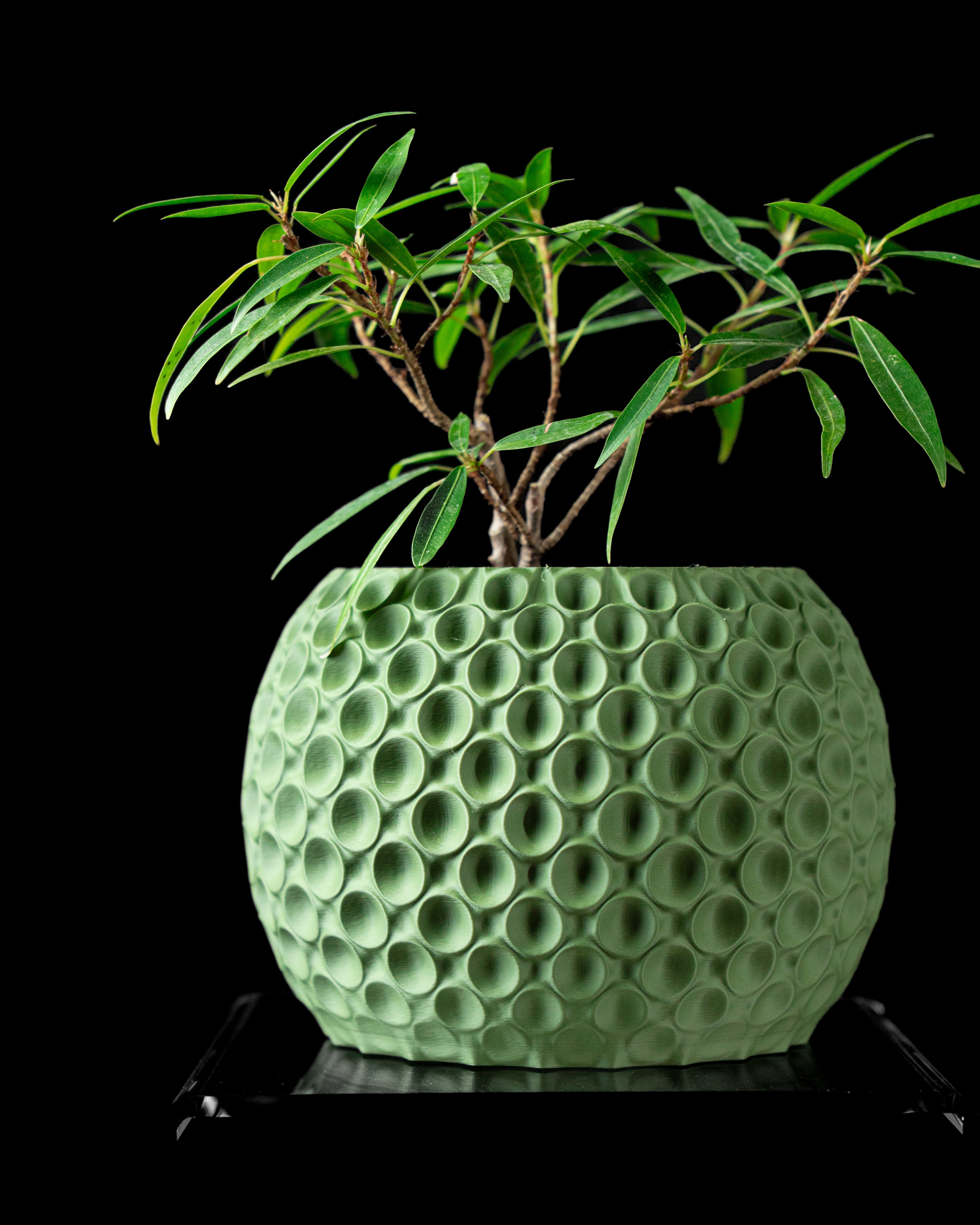Bubble Planter Vase – Luftige Moderne Dekoration