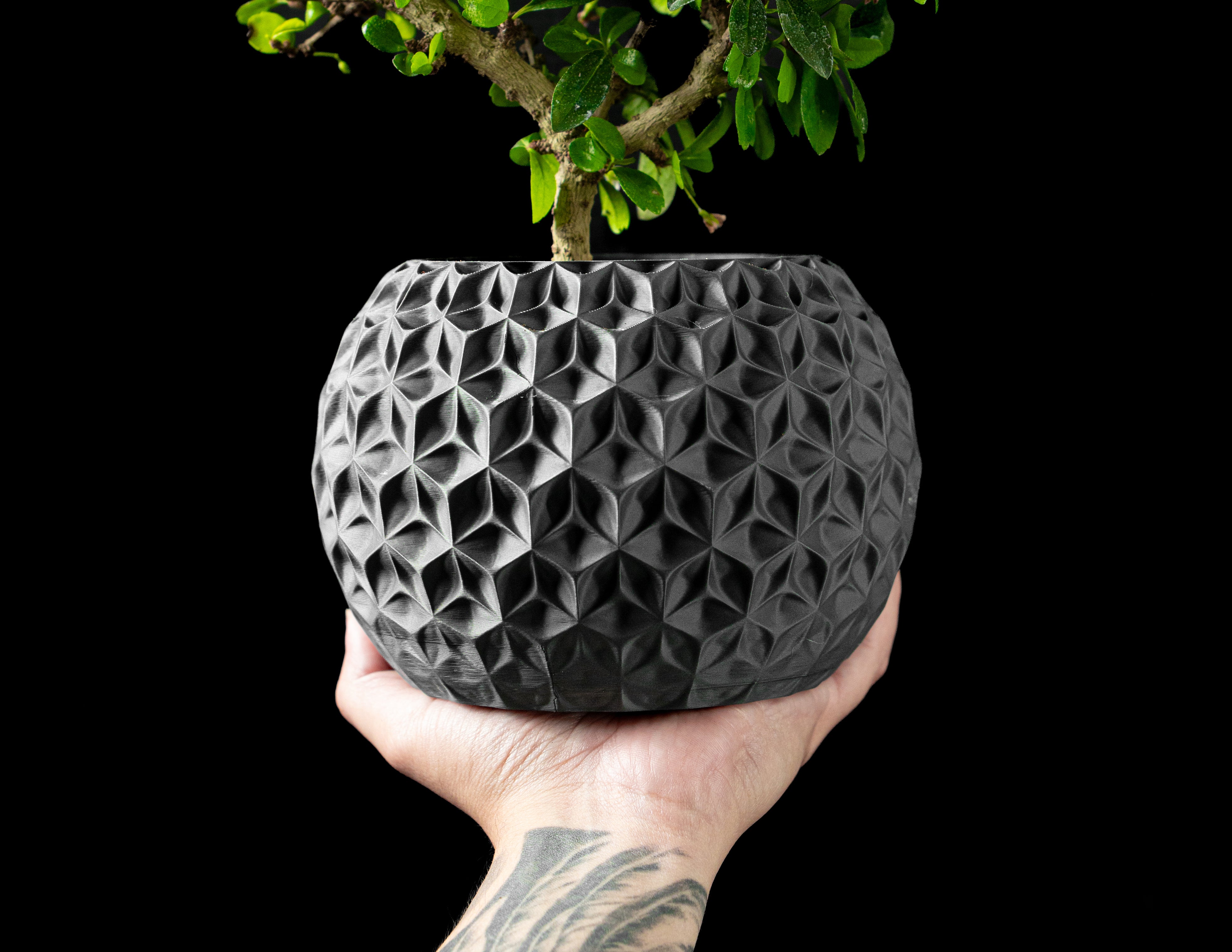 Trihex Planter Vase – Geometrische Moderne Dekoration