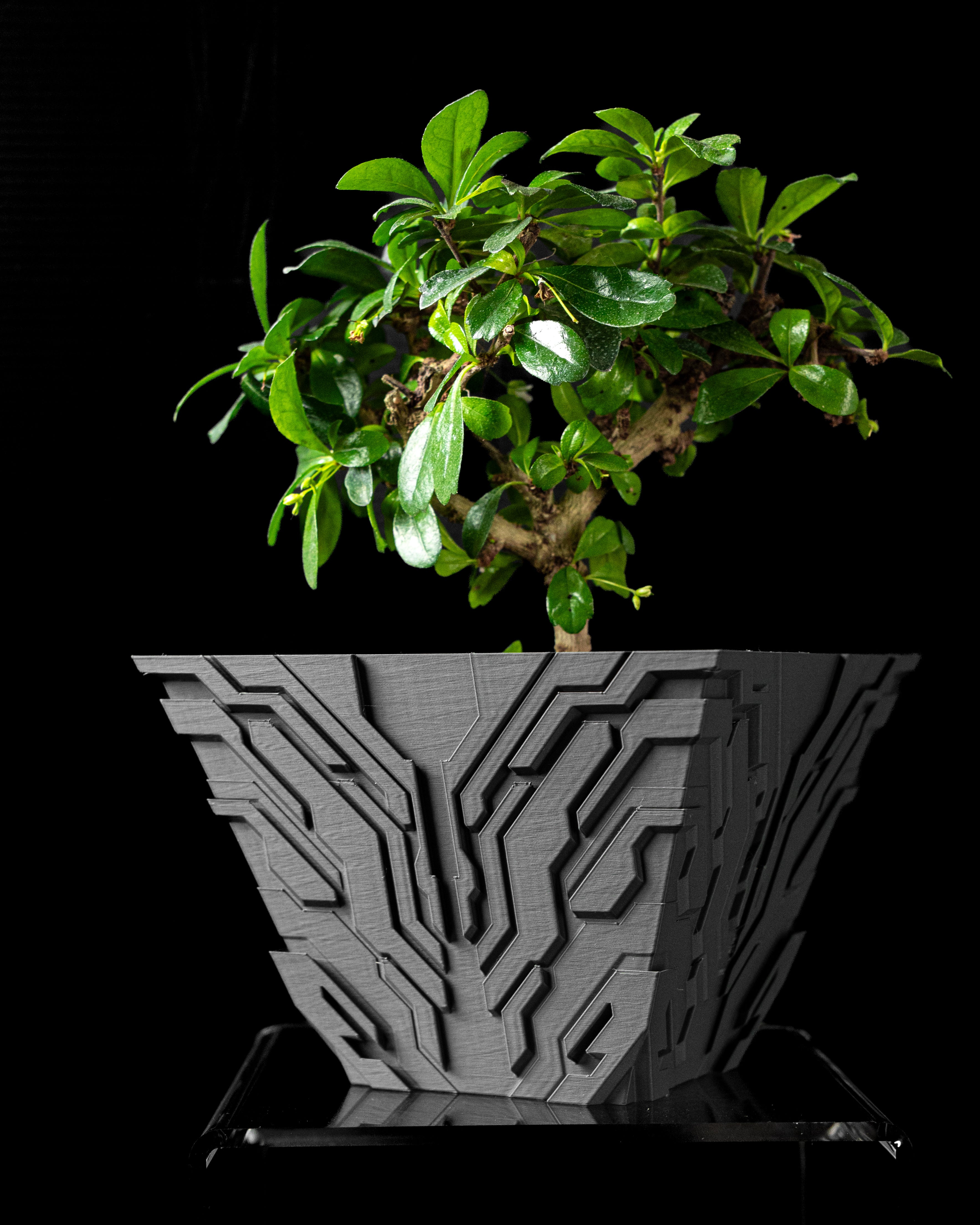 NeoOrbit Vase – Futuristische 3D-Gedruckte Dekoration