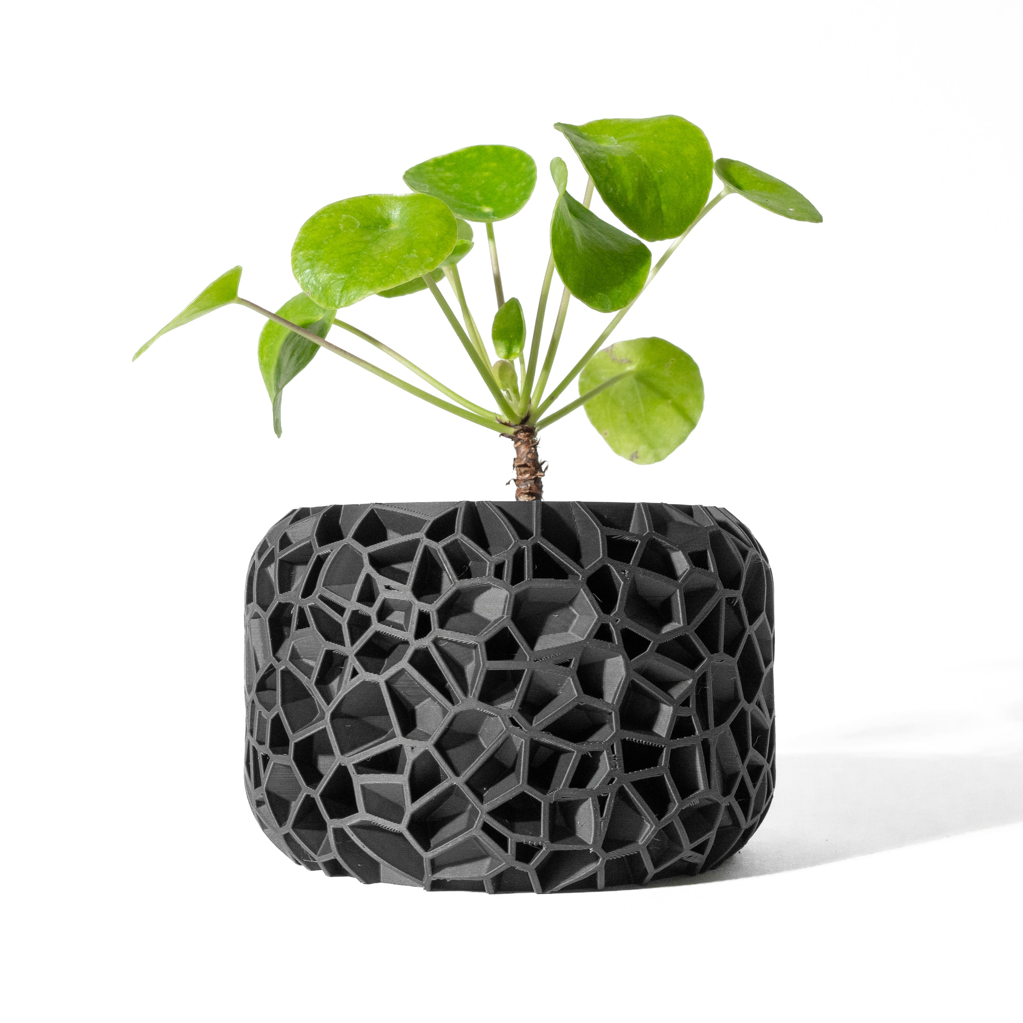 Vori Planter Vase – Zeitlose Moderne Dekoration