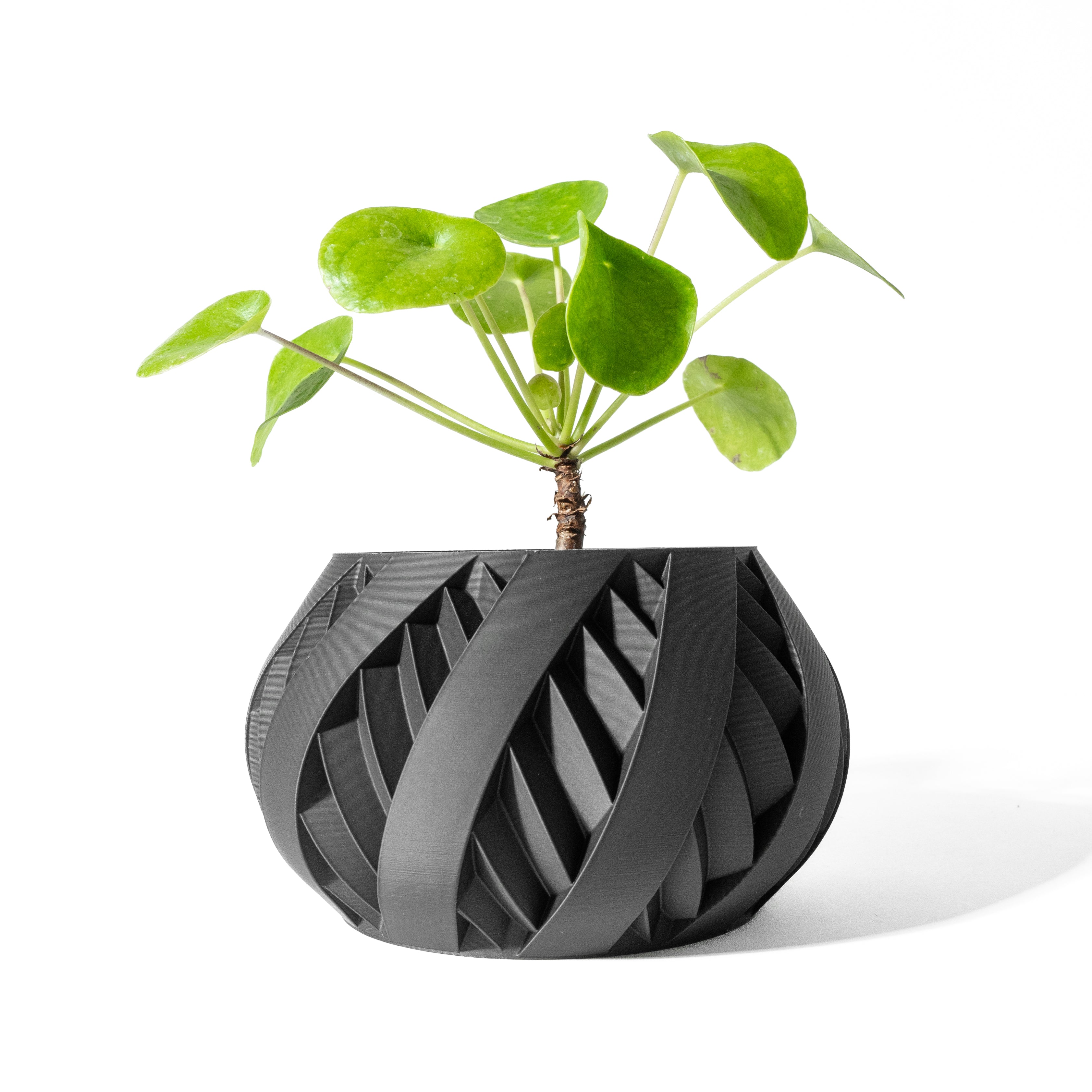 Silvo Planter Vase – Silberne Moderne Pflanzdekoration