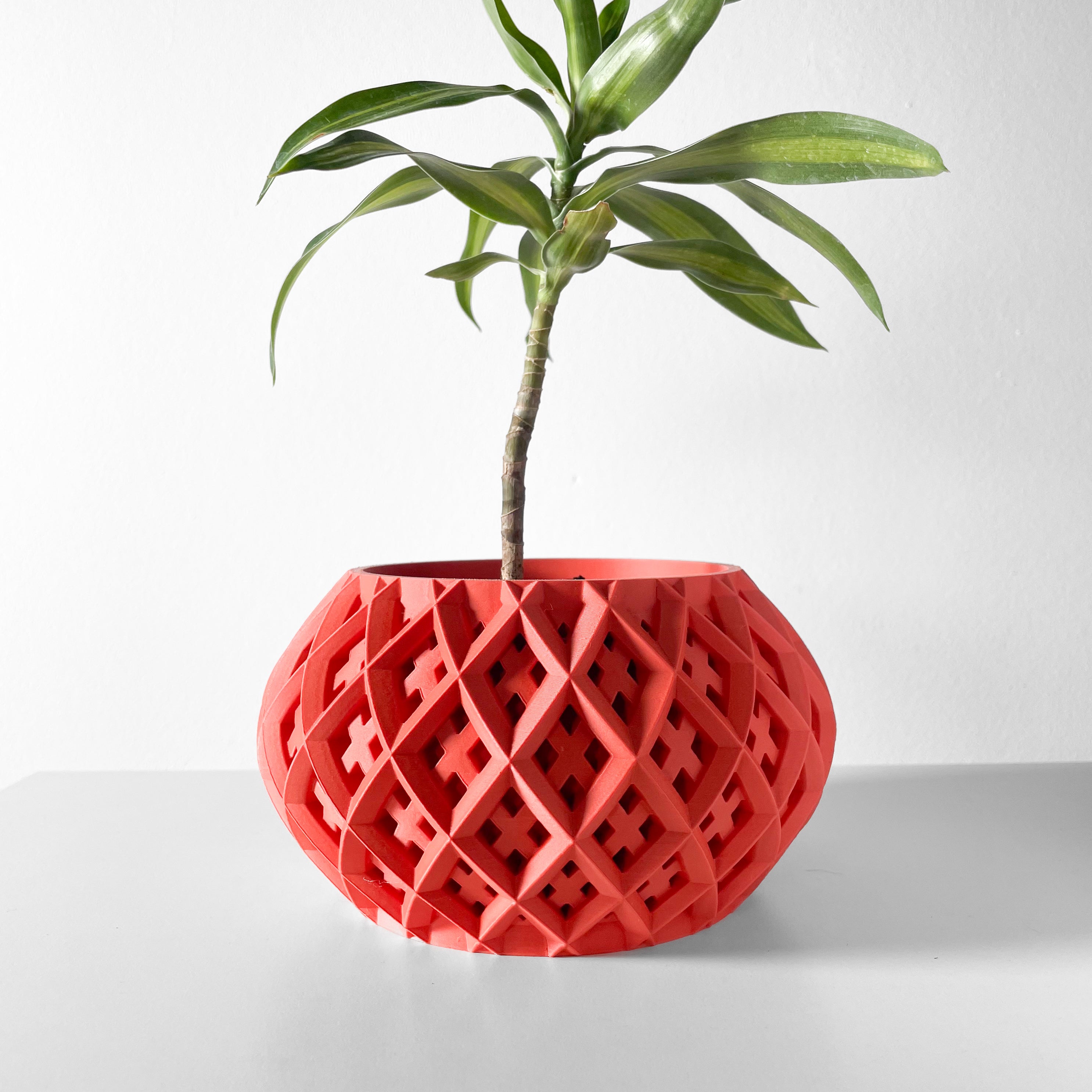 Rokio Planter Vase mit Ablauf – Dynamische Pflanzdekoration