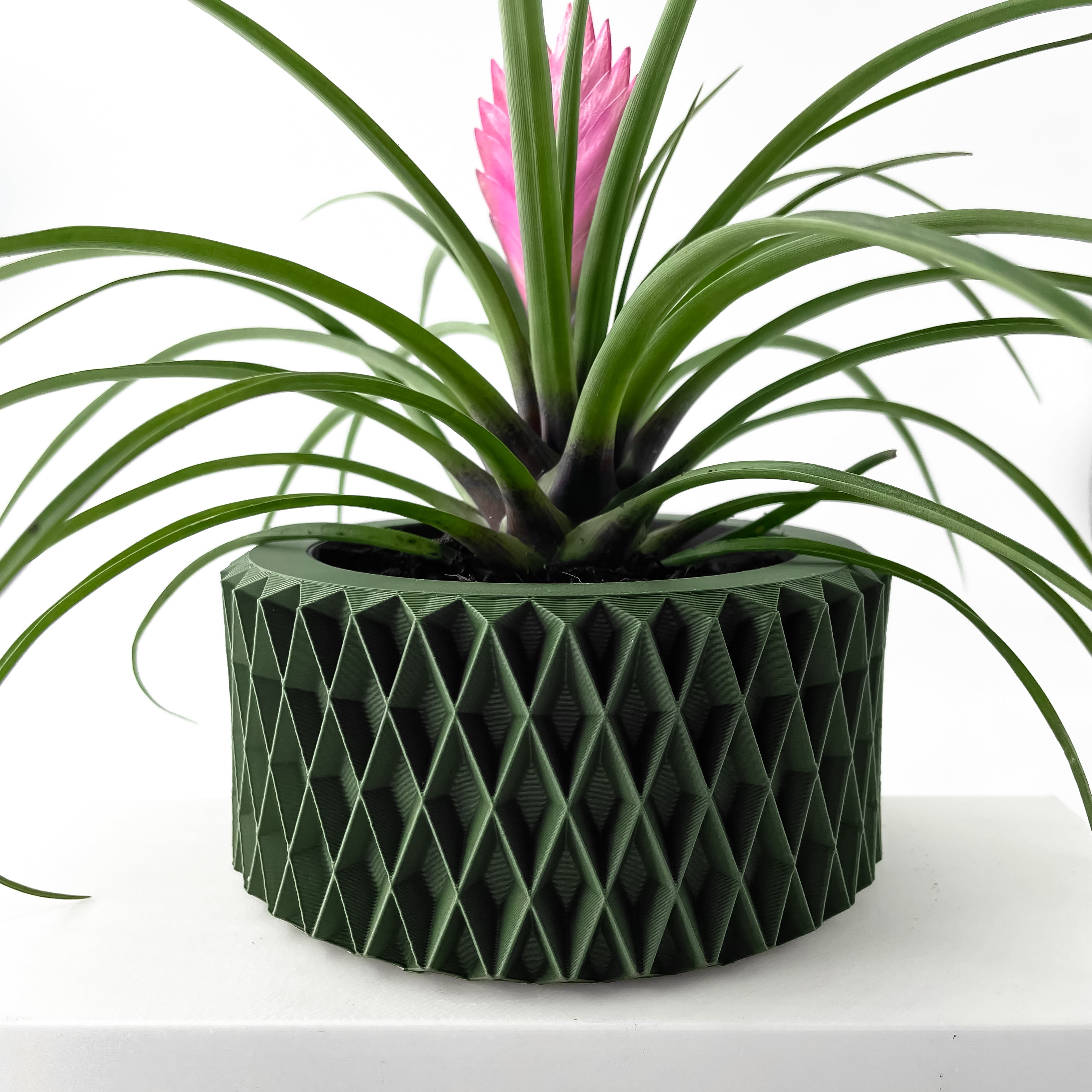 Sarv Planter Vase mit Ablauf – Kraftvolle Pflanzdekoration