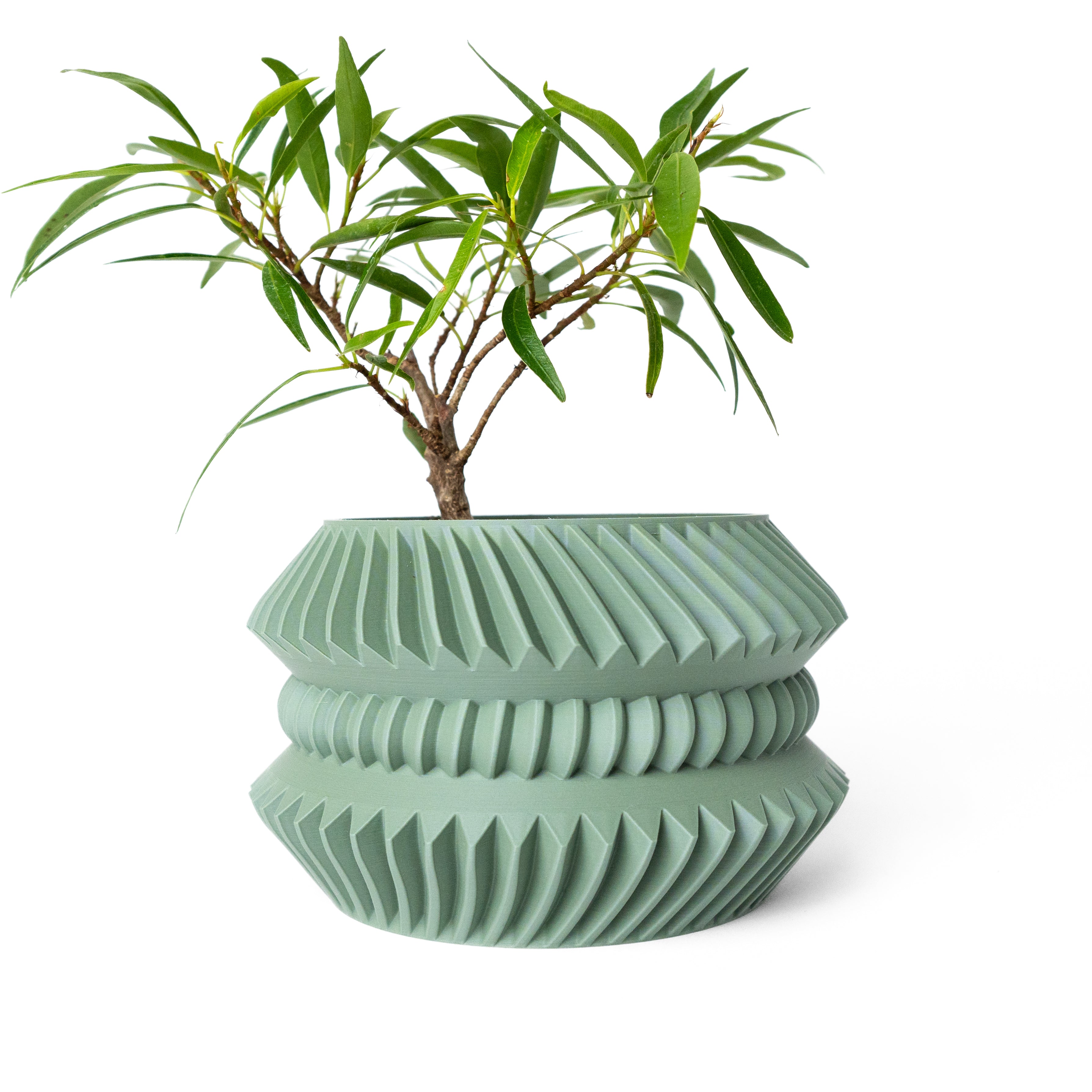 Jako Planter Vase mit Ablauf – Lebhafte Pflanzdekoration