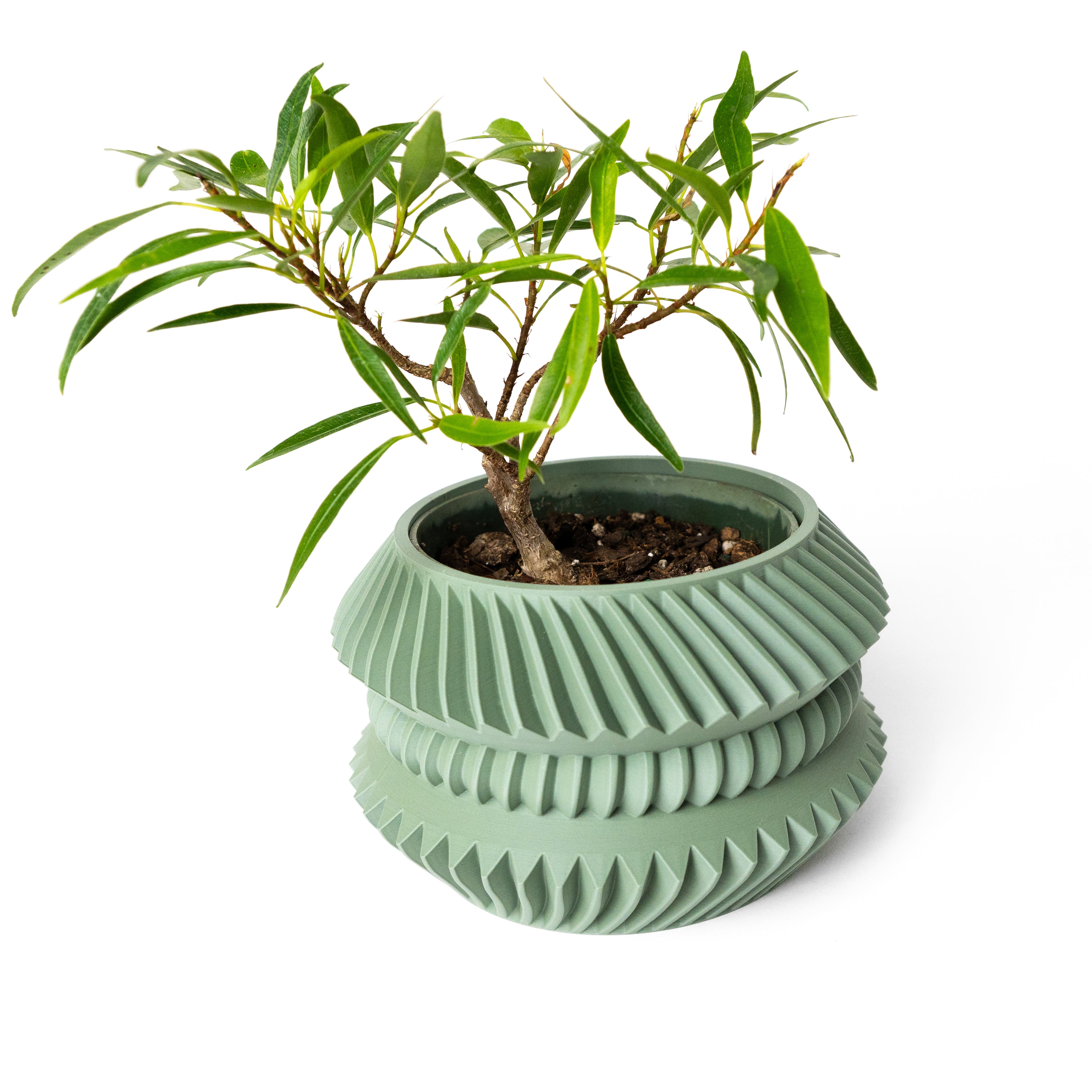 Jako Planter Vase mit Ablauf – Lebhafte Pflanzdekoration