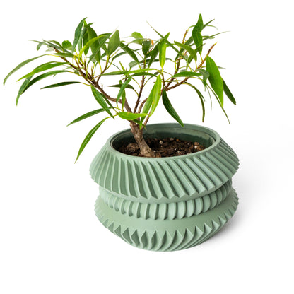 Jako Planter Vase mit Ablauf – Lebhafte Pflanzdekoration
