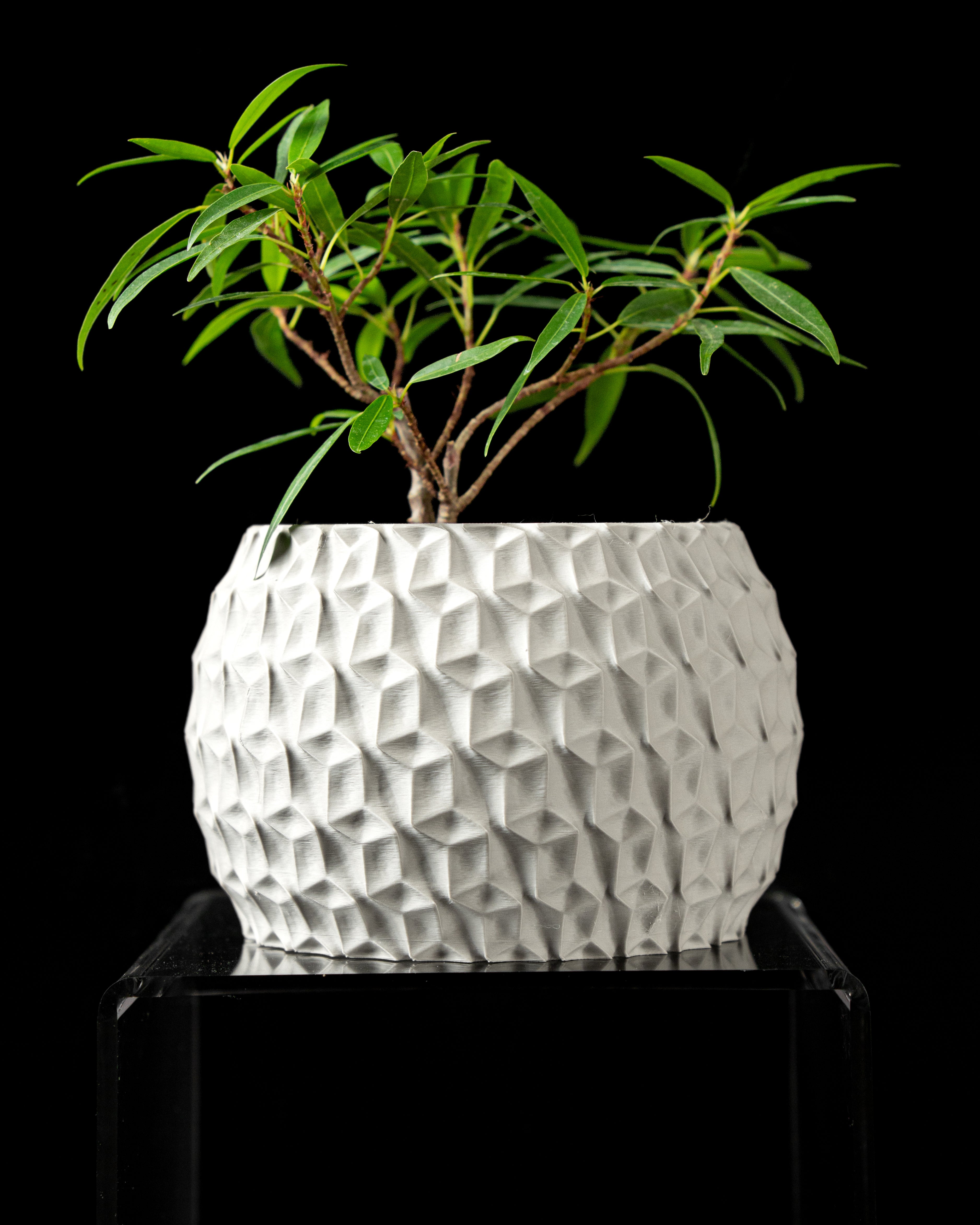 Hexa Planter Vase – Sechseckige Moderne Dekoration