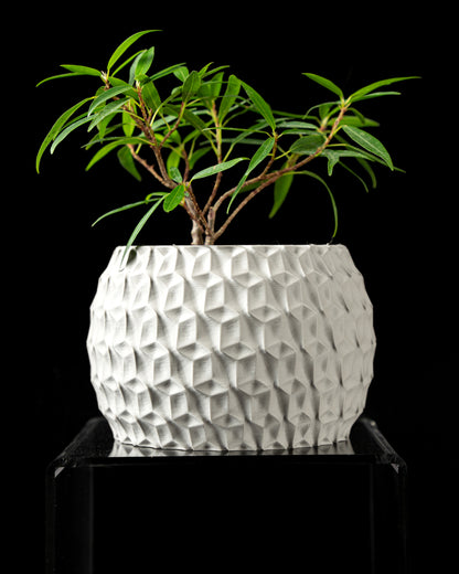 Hexa Planter Vase – Sechseckige Moderne Dekoration