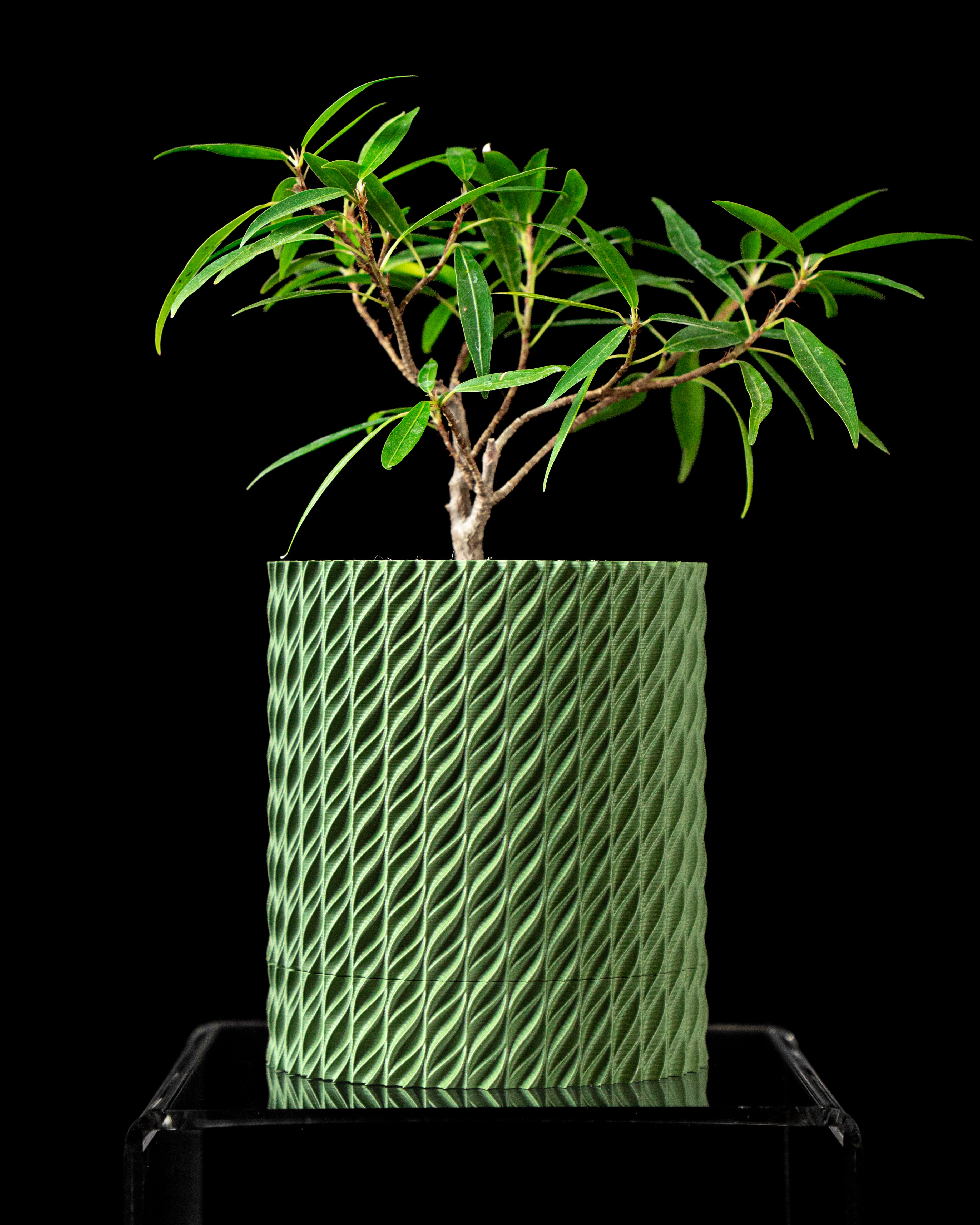 Flow Planter Vase – Fließende Moderne Pflanzdekoration