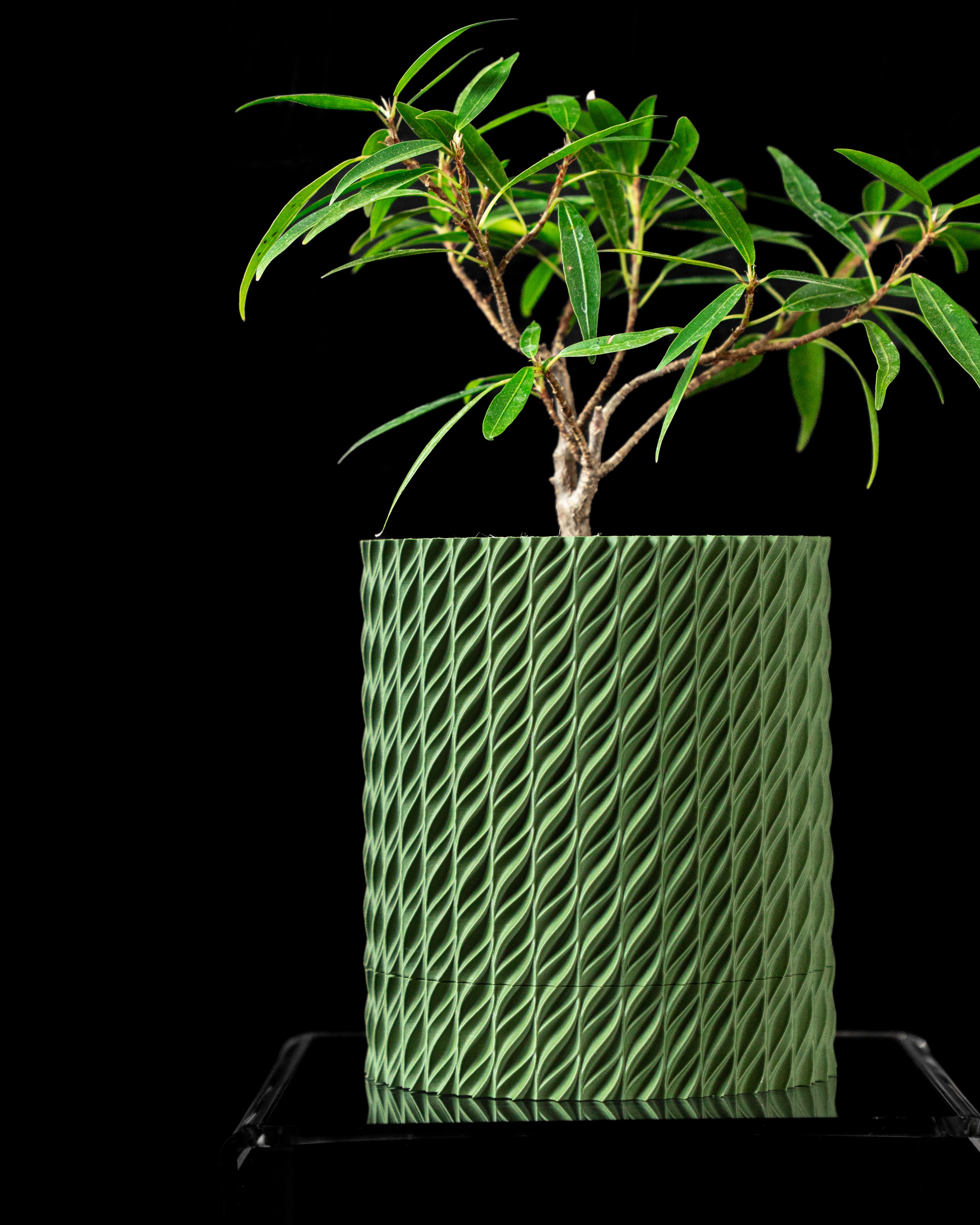 Flow Planter Vase – Fließende Moderne Pflanzdekoration