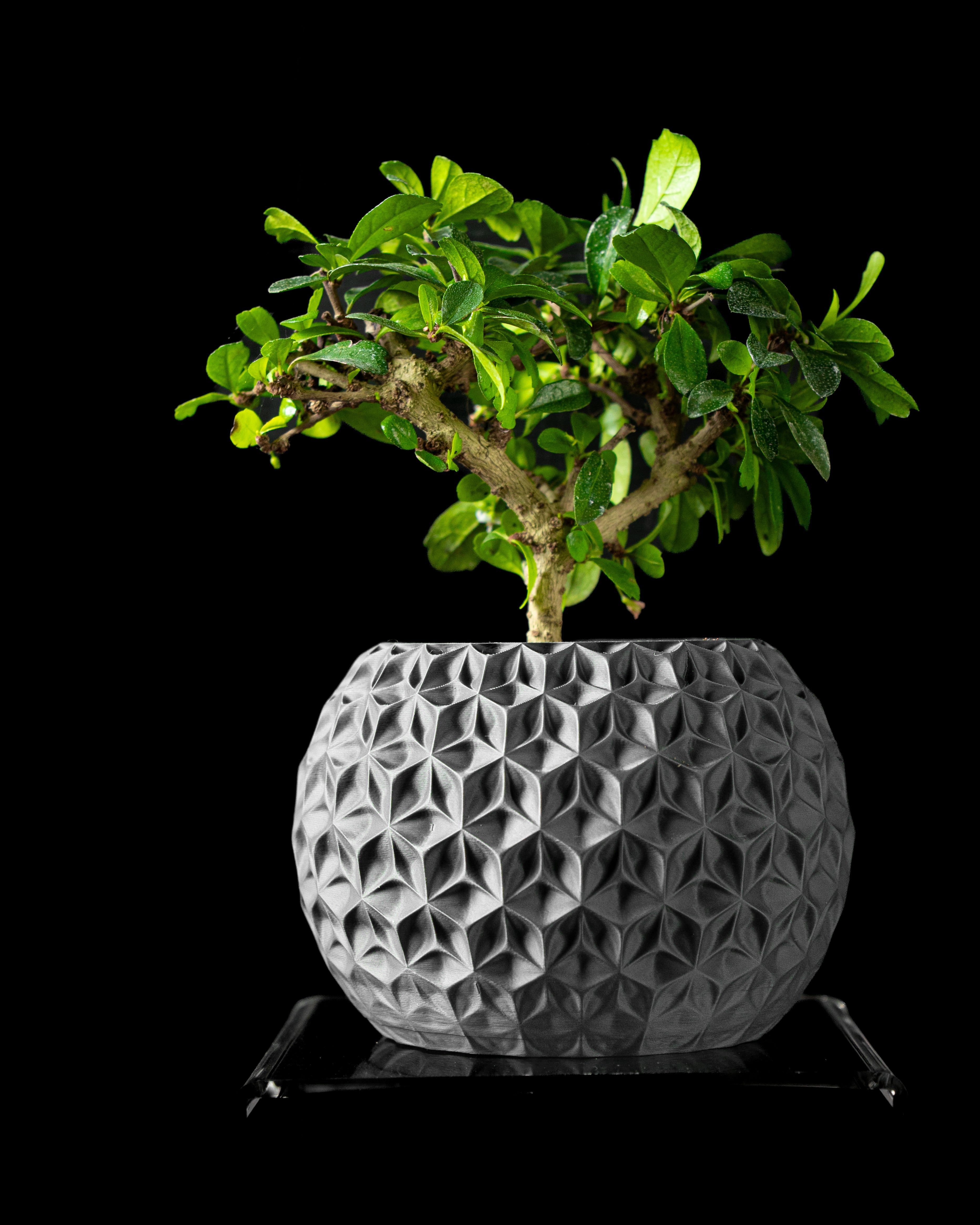Trihex Planter Vase – Geometrische Moderne Dekoration