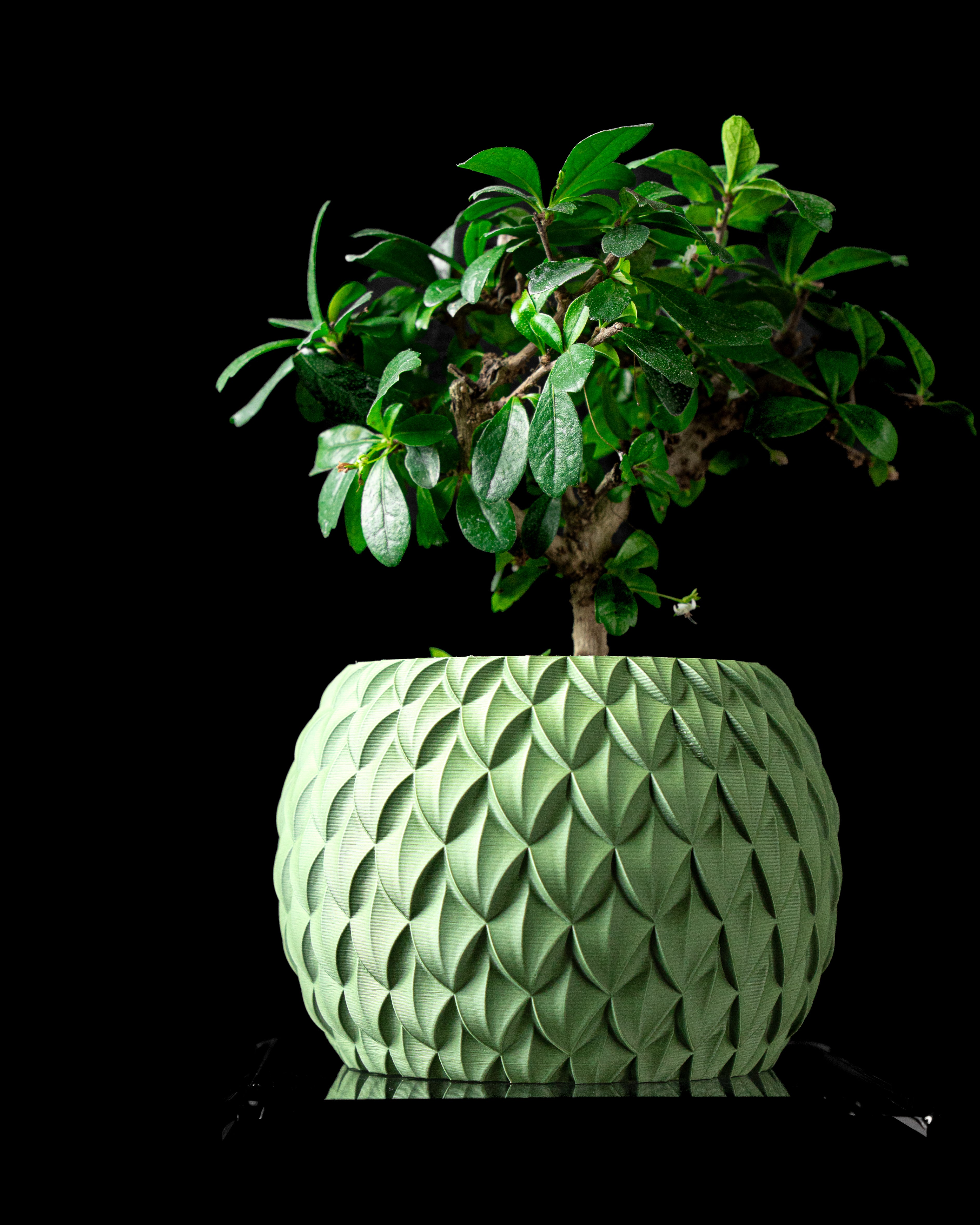 Scale Planter Vase – Skalierte Moderne Pflanzdekoration