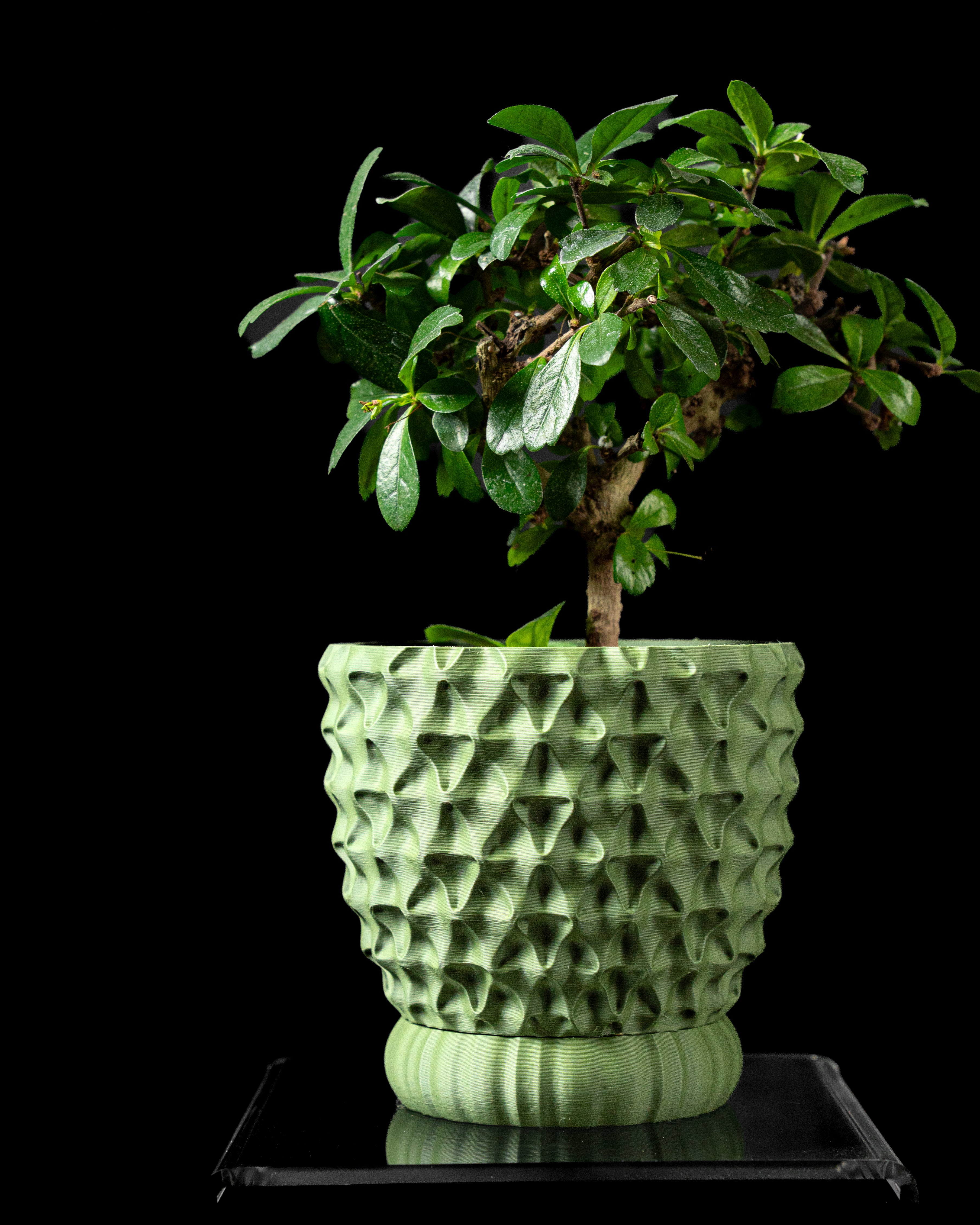 Tri-Wave Planter Vase – Dreifach-Wellige Dekoration