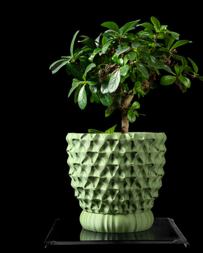 Tri-Wave Planter Vase – Dreifach-Wellige Dekoration