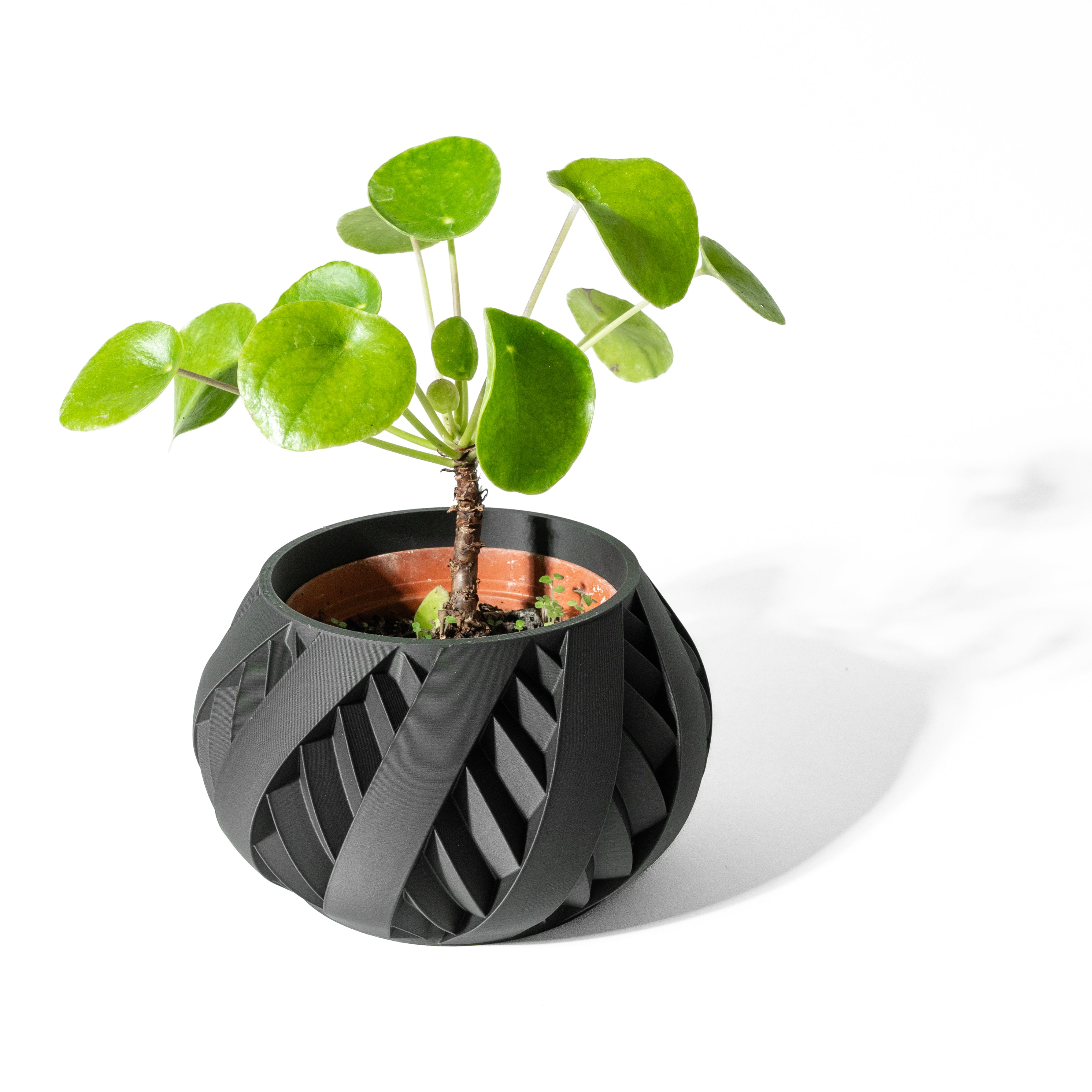 Silvo Planter Vase – Silberne Moderne Pflanzdekoration