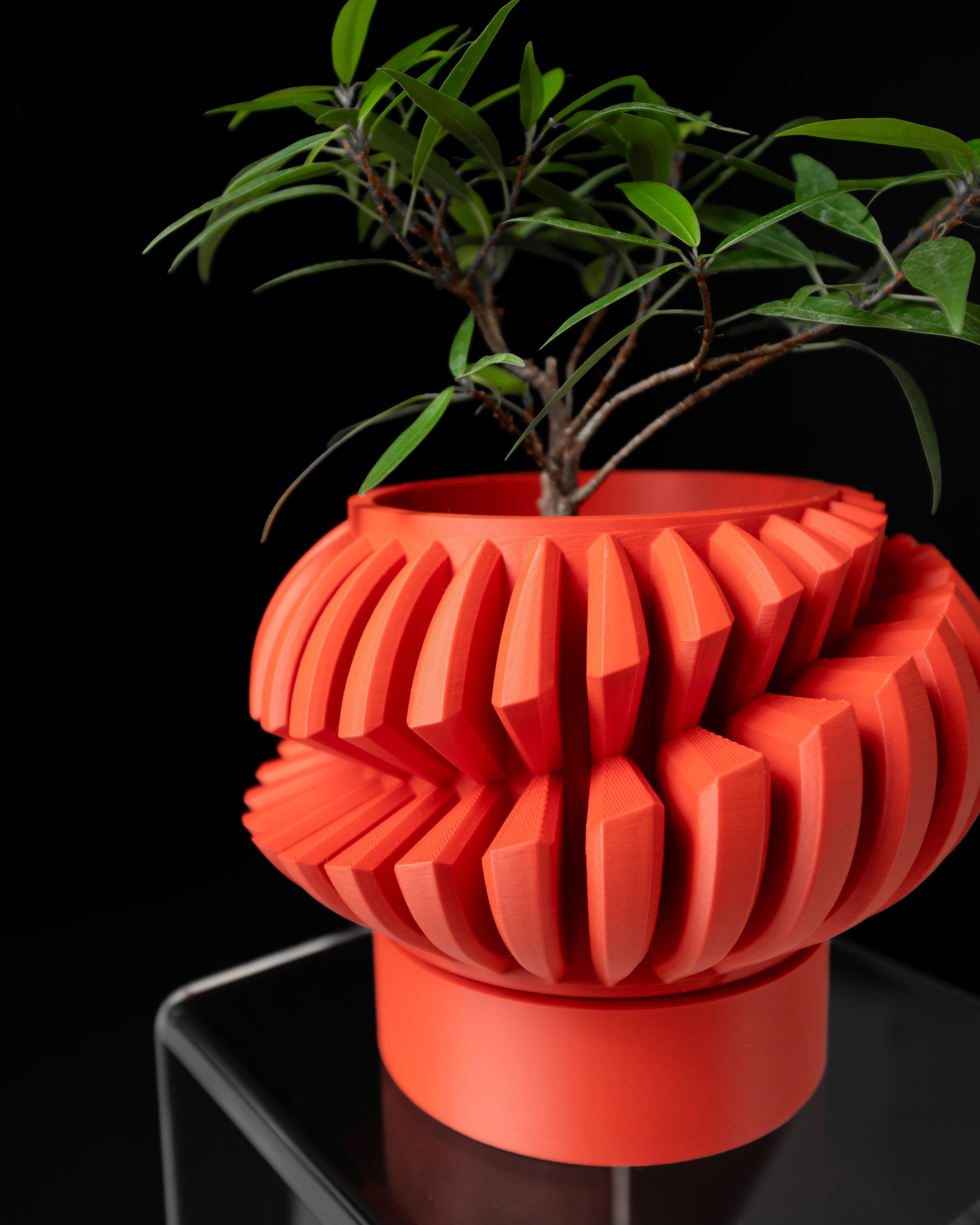 Luxira Planter Vase V2 – Verfeinerte Pflanzdekoration