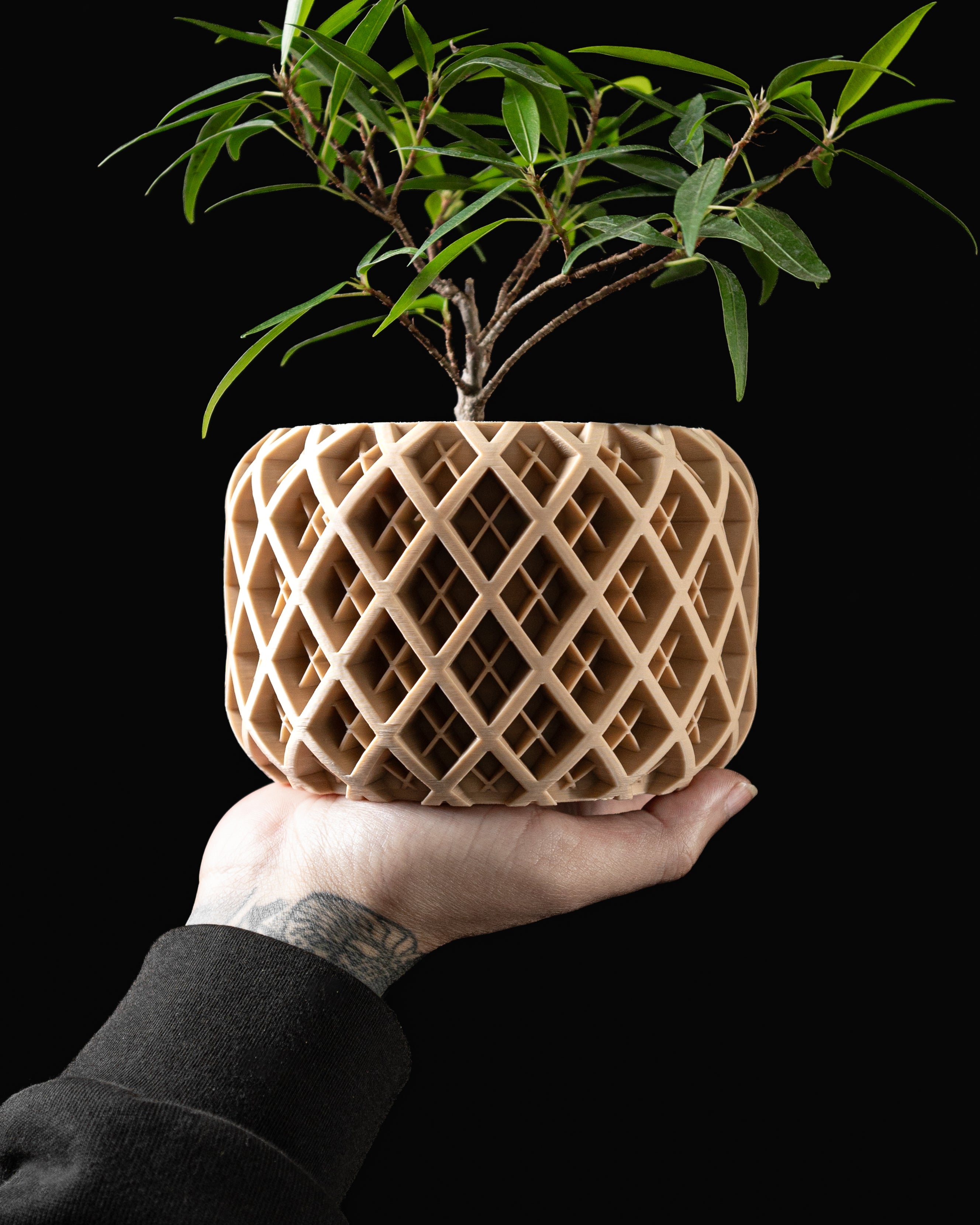 Torio Planter Vase Reissue – Verfeinerte Pflanzdekoration