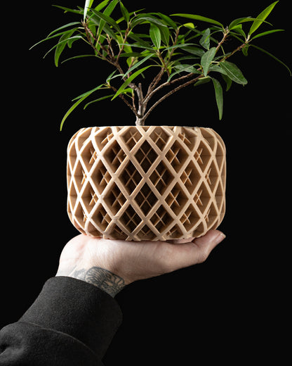 Torio Planter Vase Reissue – Verfeinerte Pflanzdekoration