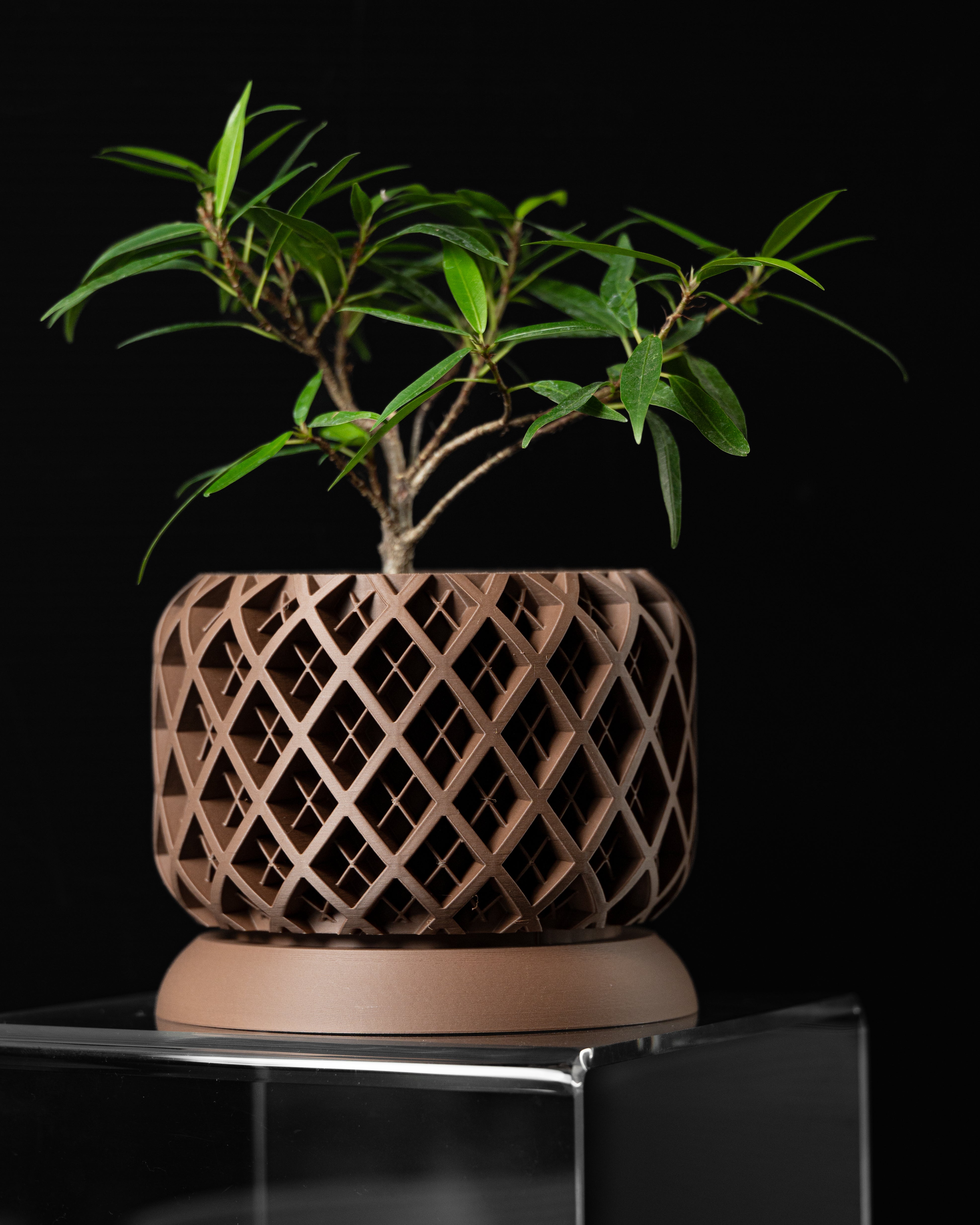 Torio Planter Vase Reissue – Verfeinerte Pflanzdekoration